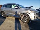 2022 Hyundai Santa Fe Calligraphy Silver vin: 5NMS5DAL6NH387090