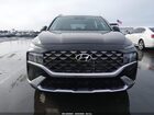 2023 Hyundai Santa Fe Calligraphy Black vin: 5NMS5DAL8PH613455