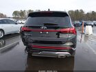 2023 Hyundai Santa Fe Calligraphy Black vin: 5NMS5DAL8PH613455