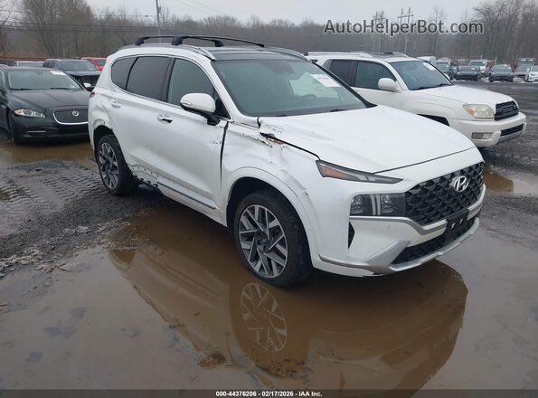 5NMS5DALXMH368489 2021 HYUNDAI SANTA FE CALLIGRAPHY Белый Передняя правая четверть