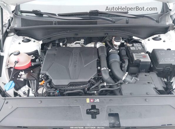 5NMS5DALXMH368489 2021 HYUNDAI SANTA FE CALLIGRAPHY Белый Вид сзади