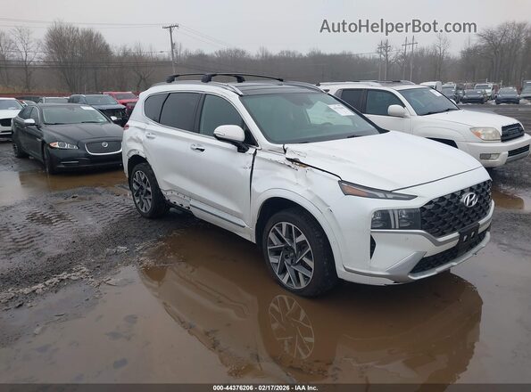 5NMS5DALXMH368489 2021 HYUNDAI SANTA FE CALLIGRAPHY Белый 