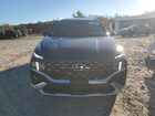 2023 Hyundai Santa Fe Calligraphy Blue vin: 5NMS5DALXPH522073