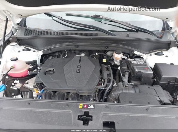 5NMS64AJ3PH563141 2023 HYUNDAI SANTA FE Белый Вид сзади