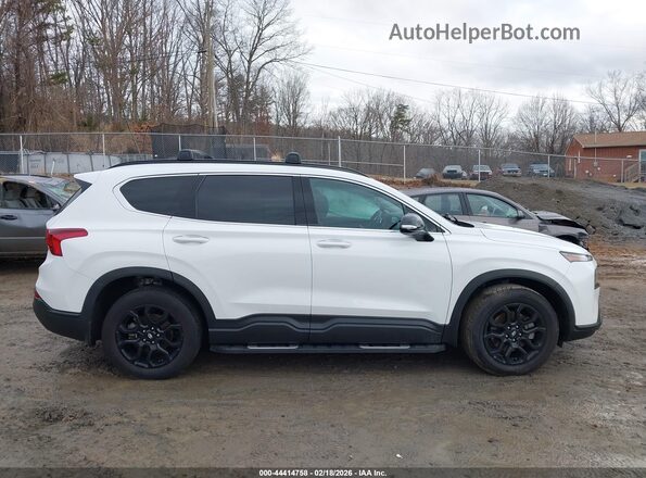5NMS64AJ3PH563141 2023 HYUNDAI SANTA FE Белый Панорамный вид салона 360°