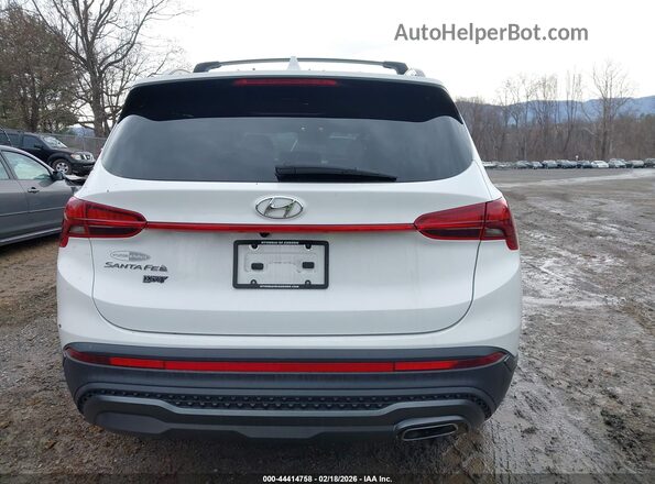 5NMS64AJ3PH563141 2023 HYUNDAI SANTA FE Белый 