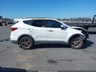 2017 Hyundai Santa Fe Sport 2.4l White vin: 5NMZUDLB9HH021294
