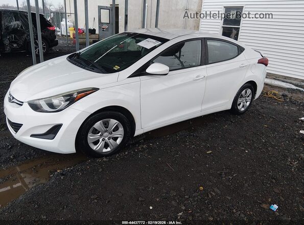5NPDH4AE9GH732491 2016 HYUNDAI ELANTRA White Przód lewy