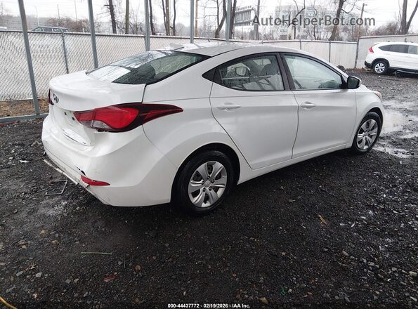 5NPDH4AE9GH732491 2016 HYUNDAI ELANTRA White Tył prawy