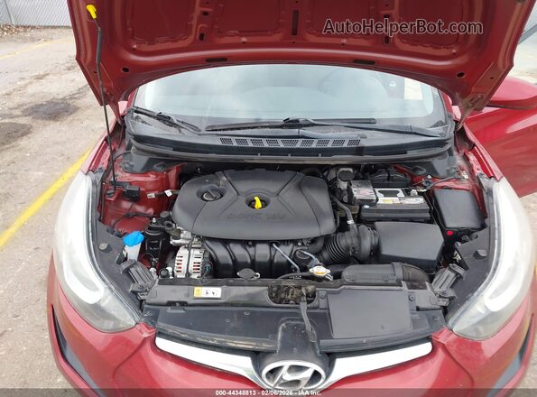5NPDH4AEXGH743340 2016 HYUNDAI ELANTRA Красный Вид сзади