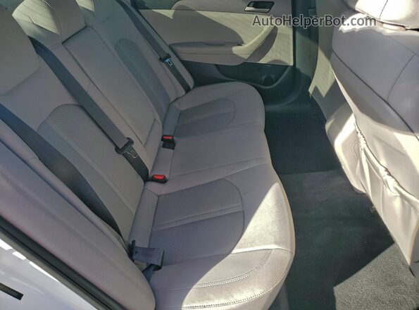 5NPE24AF1KH808681 2019 HYUNDAI SONATA Белый Вид задних сидений