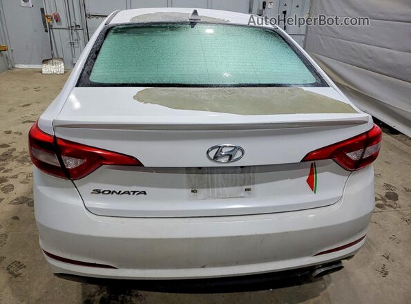 5NPE24AF2GH397511 2016 HYUNDAI SONATA Белый Вид сзади