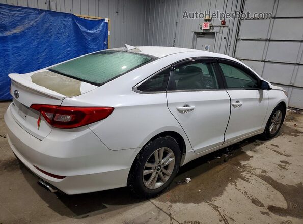 5NPE24AF2GH397511 2016 HYUNDAI SONATA Белый Задняя правая четверть
