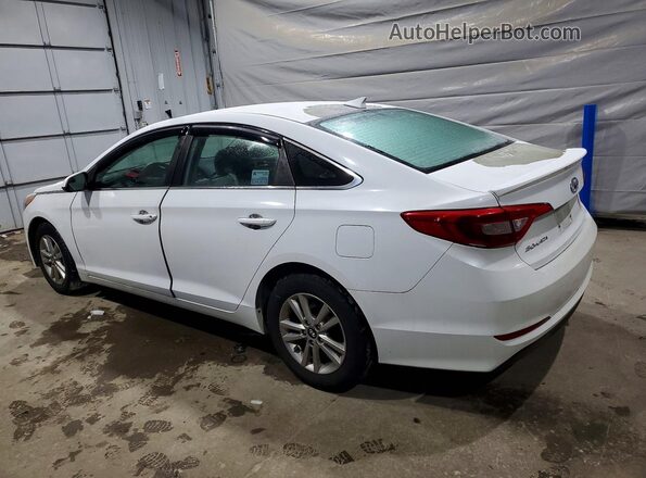 5NPE24AF2GH397511 2016 HYUNDAI SONATA Белый Задняя левая четверть