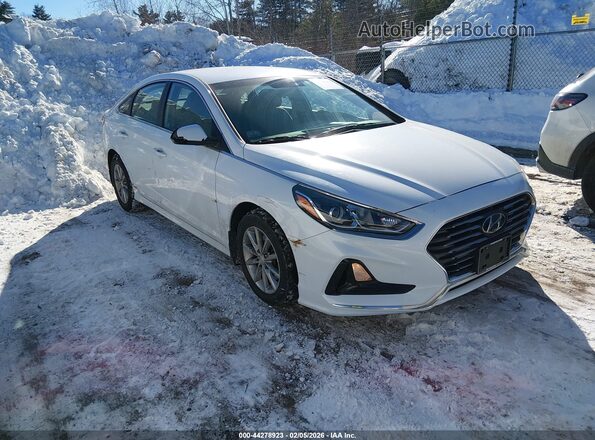 5NPE24AF2KH729469 2019 HYUNDAI SONATA Белый Передняя правая четверть
