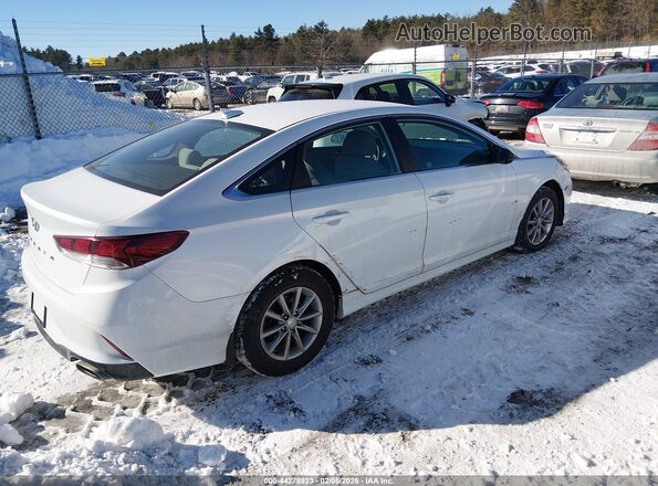 5NPE24AF2KH729469 2019 HYUNDAI SONATA Белый Задняя правая четверть