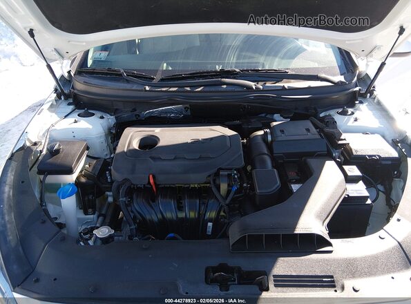 5NPE24AF2KH729469 2019 HYUNDAI SONATA Белый Вид сзади