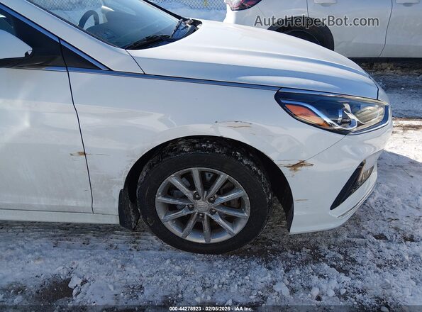 5NPE24AF2KH729469 2019 HYUNDAI SONATA Белый Вид спереди