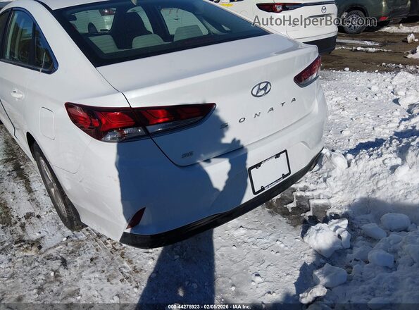 5NPE24AF2KH729469 2019 HYUNDAI SONATA Белый 