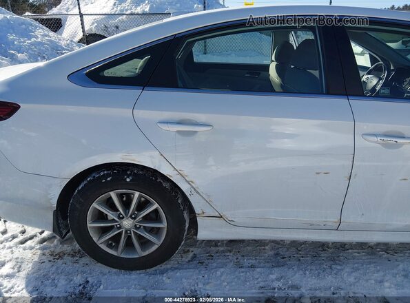 5NPE24AF2KH729469 2019 HYUNDAI SONATA Белый 