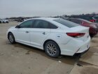 2019 Hyundai Sonata Se Белый vin: 5NPE24AF2KH763962