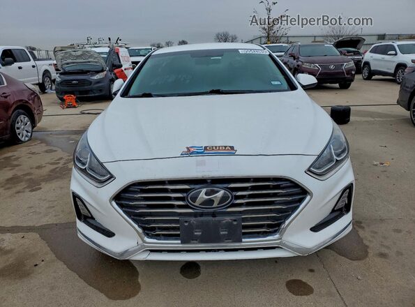 5NPE24AF2KH763962 2019 HYUNDAI SONATA Белый Вид спереди