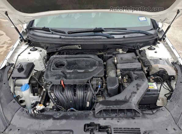 5NPE24AF2KH763962 2019 HYUNDAI SONATA Белый Вид задней части салона