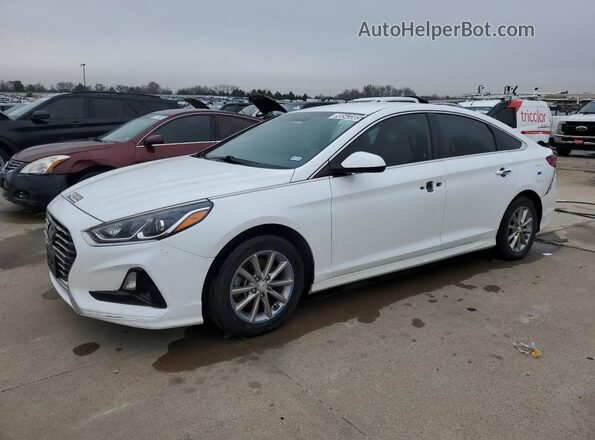 5NPE24AF2KH763962 2019 HYUNDAI SONATA Белый 