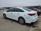 2019 Hyundai Sonata Se Белый vin: 5NPE24AF2KH763962 Damage: Left Qtr Panel, Dent(S) W/ Paint Dmg, 3 To 4 Inches