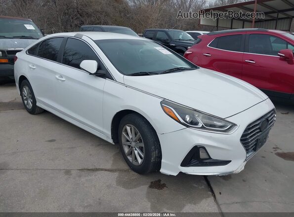 5NPE24AF3KH784738 2019 HYUNDAI SONATA Белый Передняя правая четверть