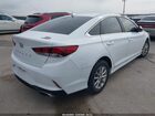 2019 Hyundai Sonata Se Белый vin: 5NPE24AF3KH784738