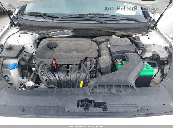 5NPE24AF3KH784738 2019 HYUNDAI SONATA Белый Вид сзади