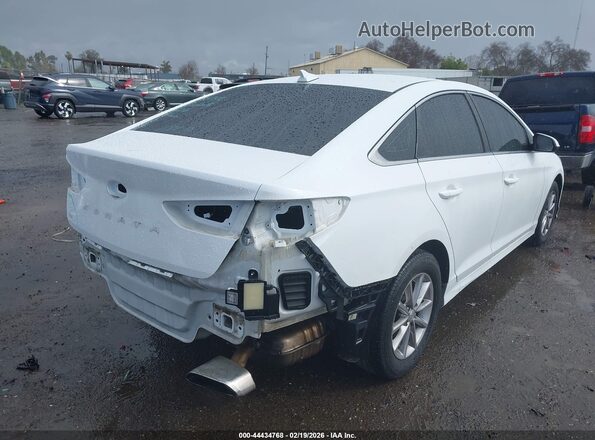 5NPE24AF3KH792225 2019 HYUNDAI SONATA Белый Задняя правая четверть