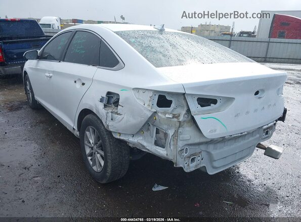 5NPE24AF3KH792225 2019 HYUNDAI SONATA Белый Задняя левая четверть