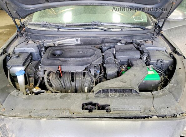 5NPE24AF4KH806925 2019 HYUNDAI SONATA Серый Вид задней части салона
