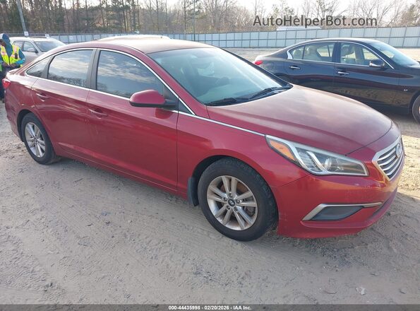 5NPE24AF6GH337313 2016 HYUNDAI SONATA Red Передня права чверть