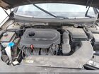 2017 Hyundai Sonata Черный vin: 5NPE24AF6HH541238 2017 Hyundai Sonata Черный vin: 5NPE24AF6HH541238