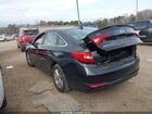 2017 Hyundai Sonata Черный vin: 5NPE24AF6HH541238 2017 Hyundai Sonata Черный vin: 5NPE24AF6HH541238