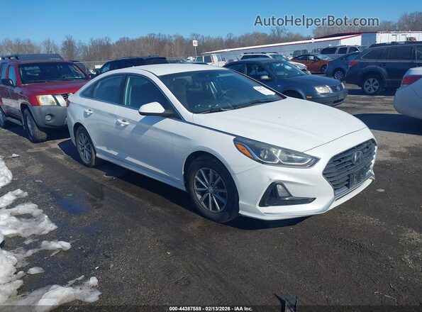 5NPE24AF6KH755864 2019 HYUNDAI SONATA Белый Передняя правая четверть