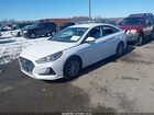 2019 Hyundai Sonata Se Белый vin: 5NPE24AF6KH755864