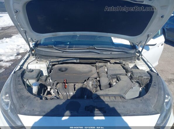 5NPE24AF6KH755864 2019 HYUNDAI SONATA Белый Вид сзади