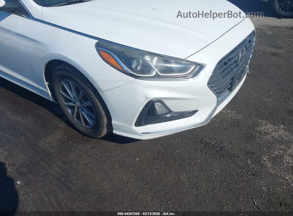5NPE24AF6KH755864 2019 HYUNDAI SONATA Белый Вид спереди