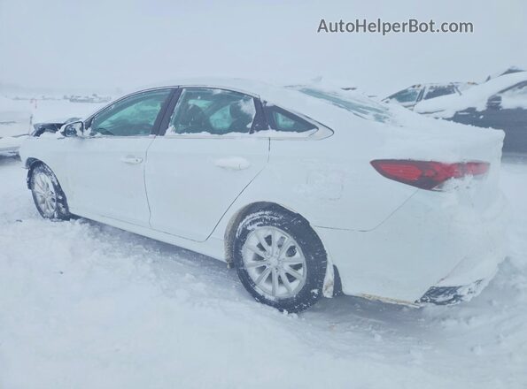 5NPE24AF7KH804697 2019 HYUNDAI SONATA White უკანა მარცხენა