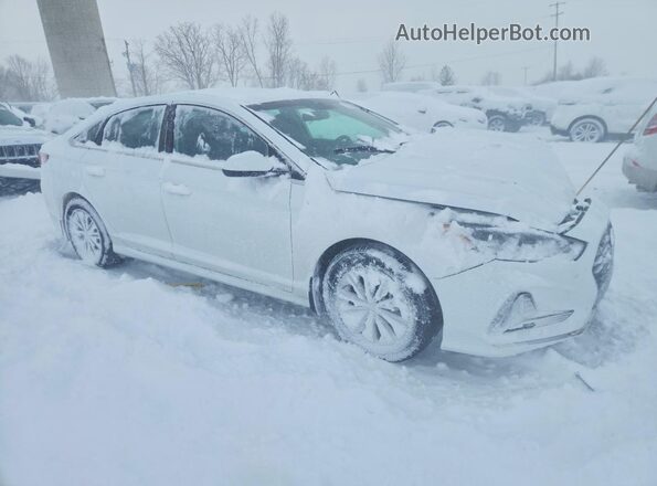 5NPE24AF7KH804697 2019 HYUNDAI SONATA White წინა მარჯვენა