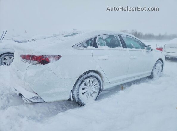 5NPE24AF7KH804697 2019 HYUNDAI SONATA White უკანა მარჯვენა