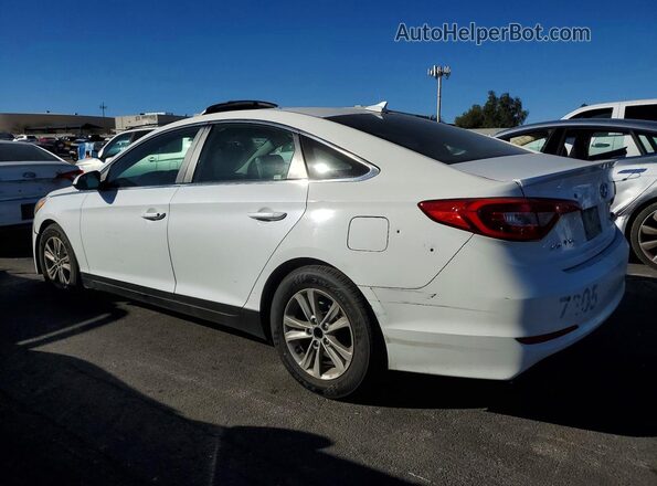 5NPE24AF8GH334980 2016 HYUNDAI SONATA White Rear left