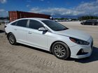 2019 Hyundai Sonata Se White vin: 5NPE24AF8KH744221