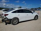2019 Hyundai Sonata Se White vin: 5NPE24AF8KH744221
