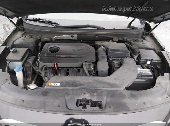 5NPE24AF9GH314897 2016 HYUNDAI SONATA Black Rear view