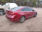 2016 Hyundai Sonata Se Красный vin: 5NPE24AFXGH364885